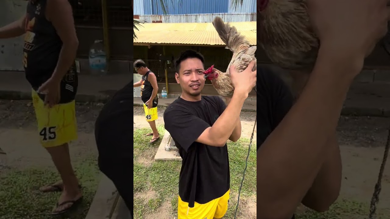 Dating gawi from the 3rd time after mag almusal walang magawa buko sa loob ng CM Farm ang napapag
