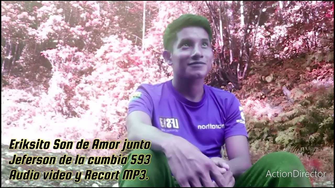 Eriksito son de amor fue tan tonto mi corazón audio video y récord 2025