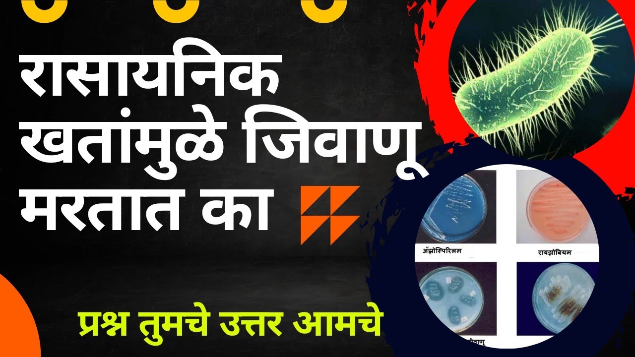 रासायनिक खताच्या संपर्कात आल्यावर जिवाणू मरतात का ll Jivanu khate and fertilizer