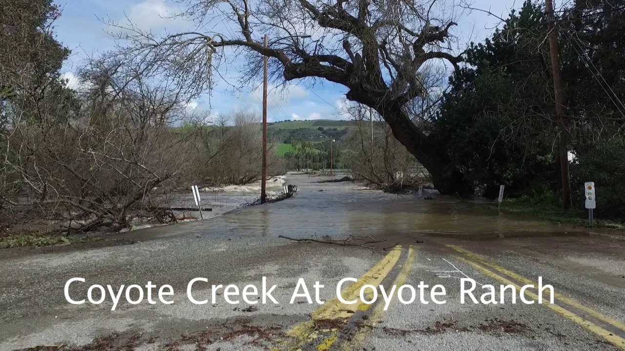 Drone Video of the Flooding Coyote Creek in San Jose California