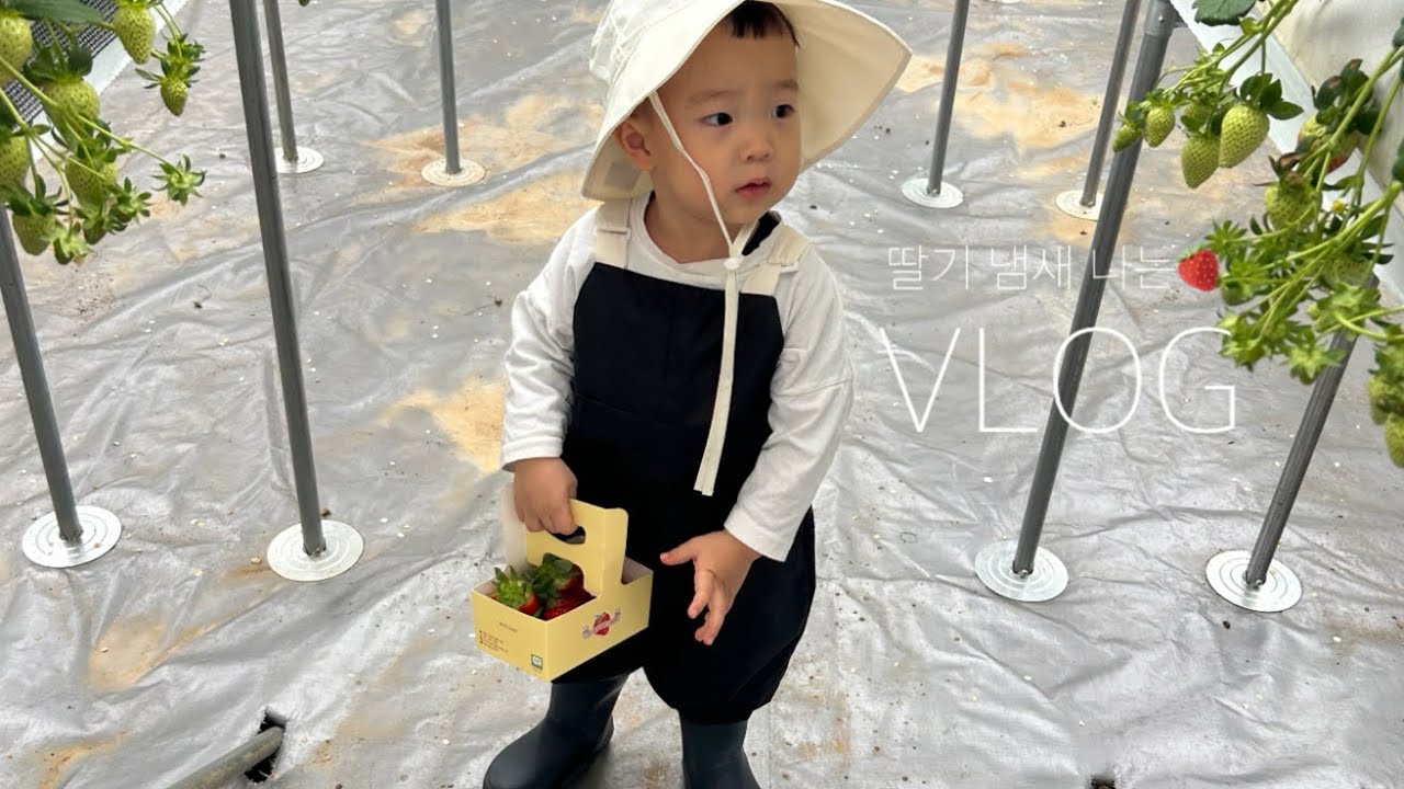 [VLOG] 딸기냄새 나는 것 같은 31개월아기 일상 🍓
