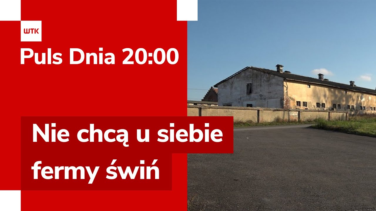 Sp&oacute;r o fermę świń na 10 tys. sztuk w Objezierzu. Konsultacje i protesty | Puls Dnia 20:00
