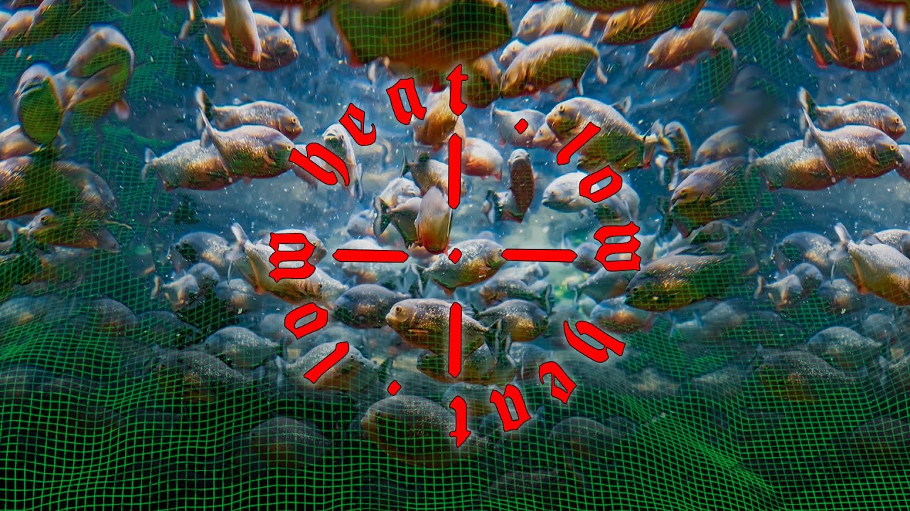 Boiler Room: Low Heat | DJ Taye