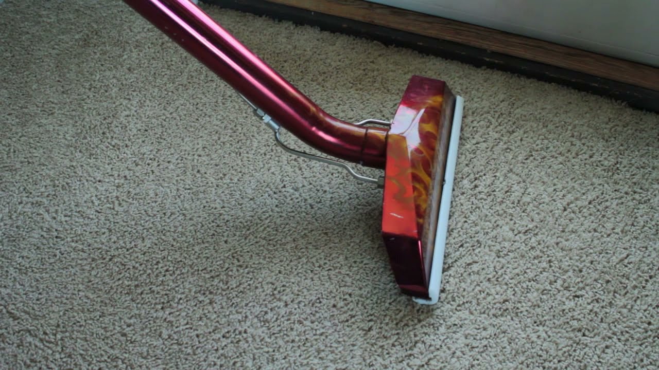 Pet Urine & Odor Removal Services!