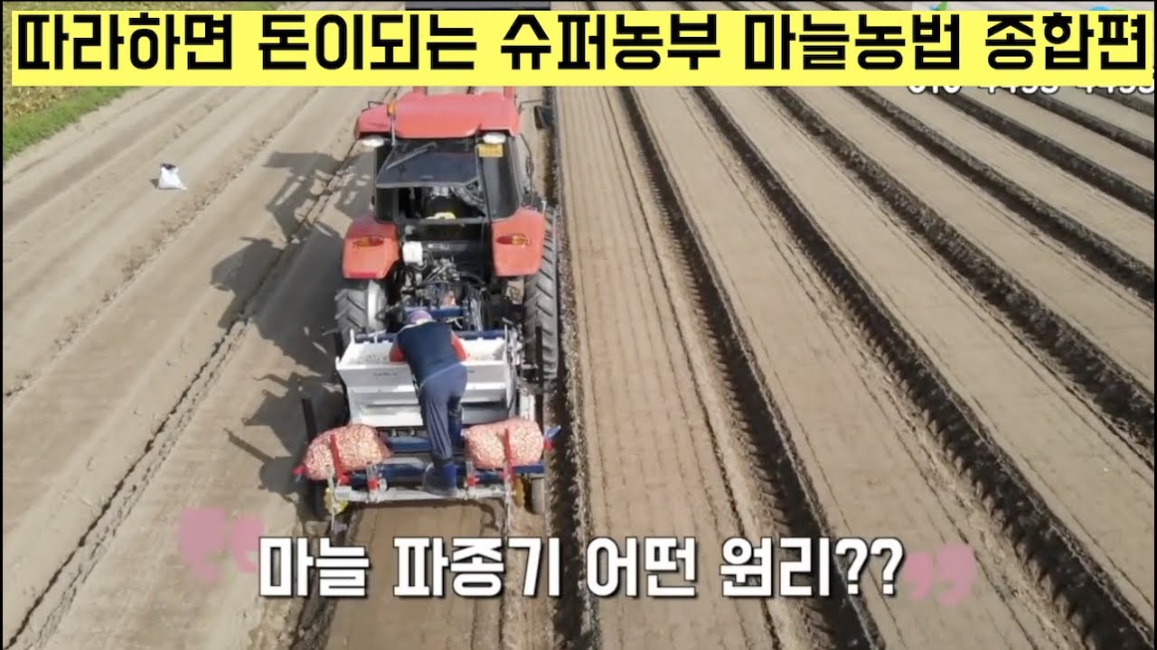 [한국농수산TV] 따라하면 돈이되는 슈퍼농부 마늘농사 종합편