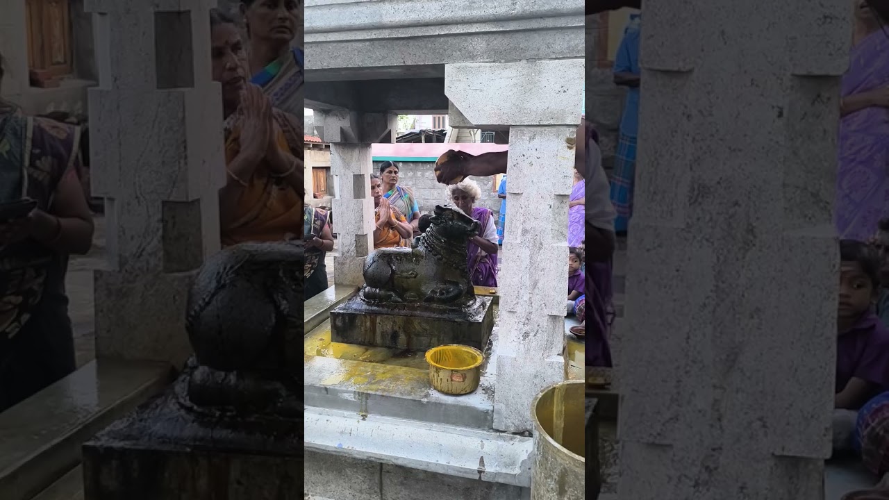 Big Siva Pradosham 2024 | Divine Experience at Marneri Arulmigu Masupatheeswarar Sivan Temple