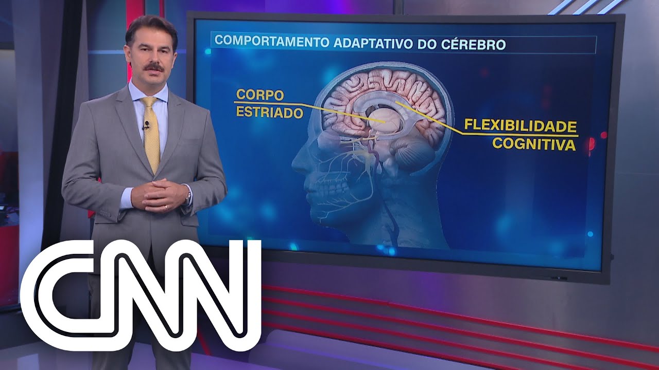 Entenda como a guerra pode provocar traumas e danos à saúde mental - Correspondente Médico