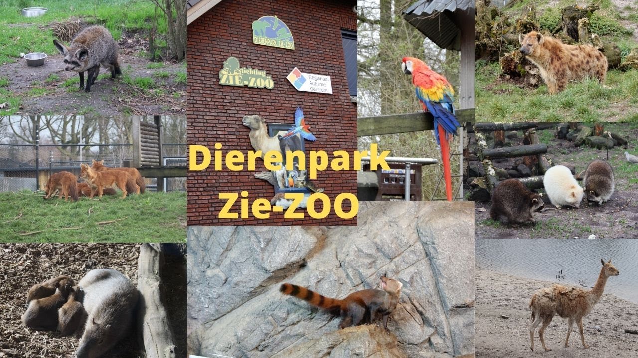 Review Dierenpark Zie-Zoo Volkel 2020 4K(60FPS)