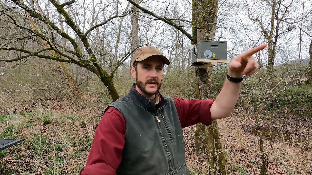 Swarm Trap Rollout!