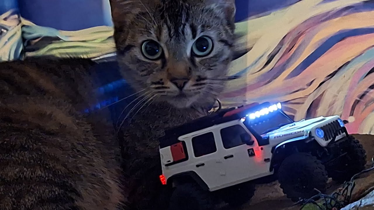 💖SCX30 JLU REAL light bar install💧Drop n A Bucket🪣:E8 👀 See like a cat! 🐈