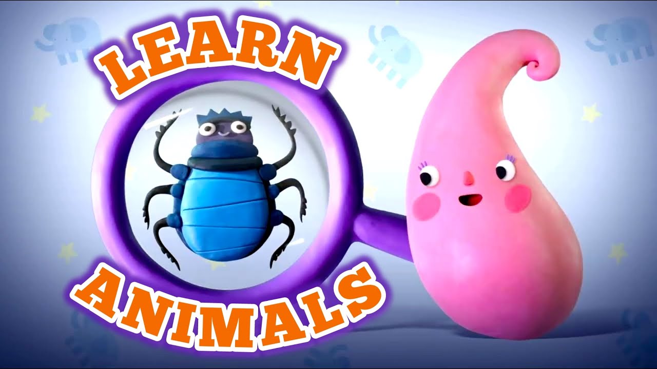 Learn with Claymotions | Who is the Biggest Animal? | 🟡 Cartoon Box - Learning cartoons for kids