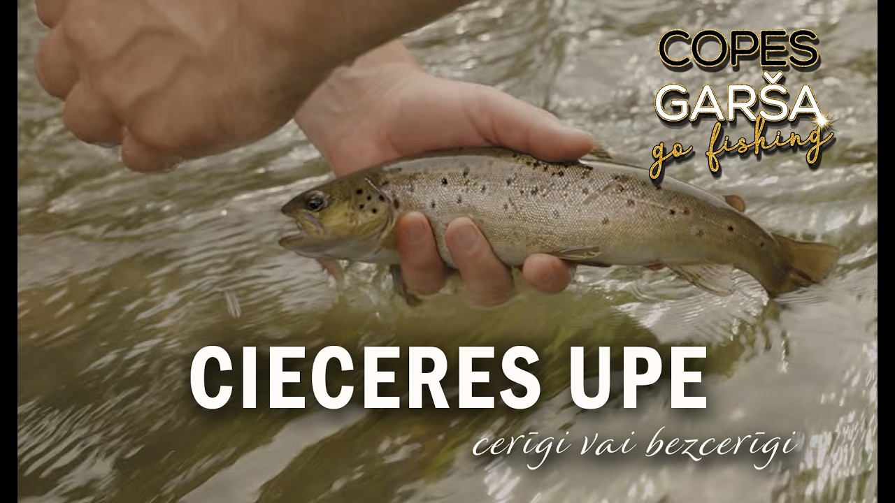 COPES GAR&Scaron;A - S09E05 🐟 CIECERES UPE - cerīgi vai bezcerīgi?