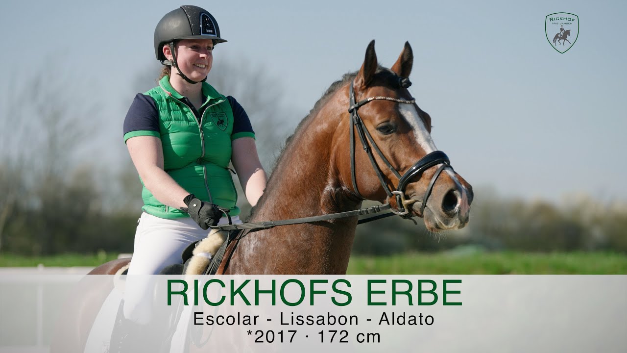 *** Rickhofs Erbe *** Deckhengst von Escolar x Lissabon x Aldato , *2017, 1,72m, WFFS frei