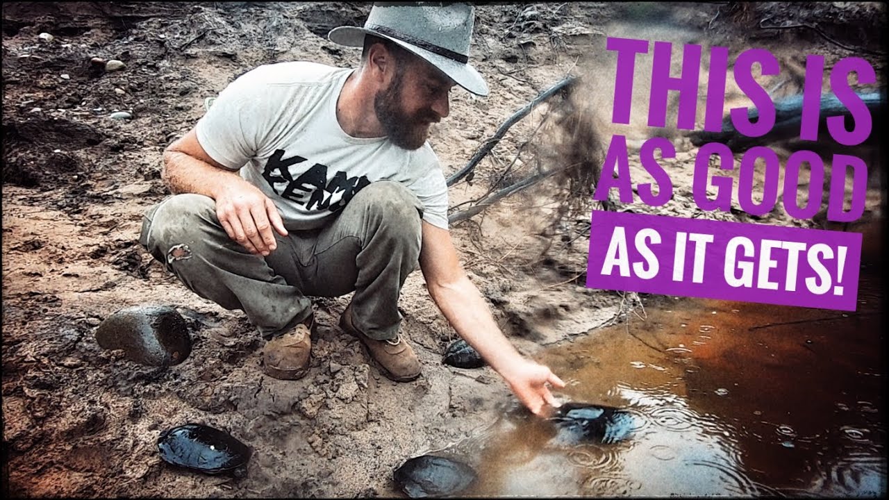Rescuing & Releasing Snake Neck Turtles!