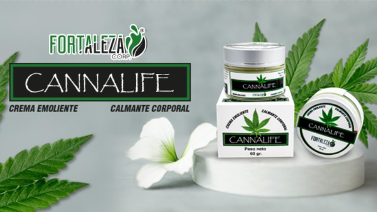 CANNALIFE - CANNABIS MEDICINAL
