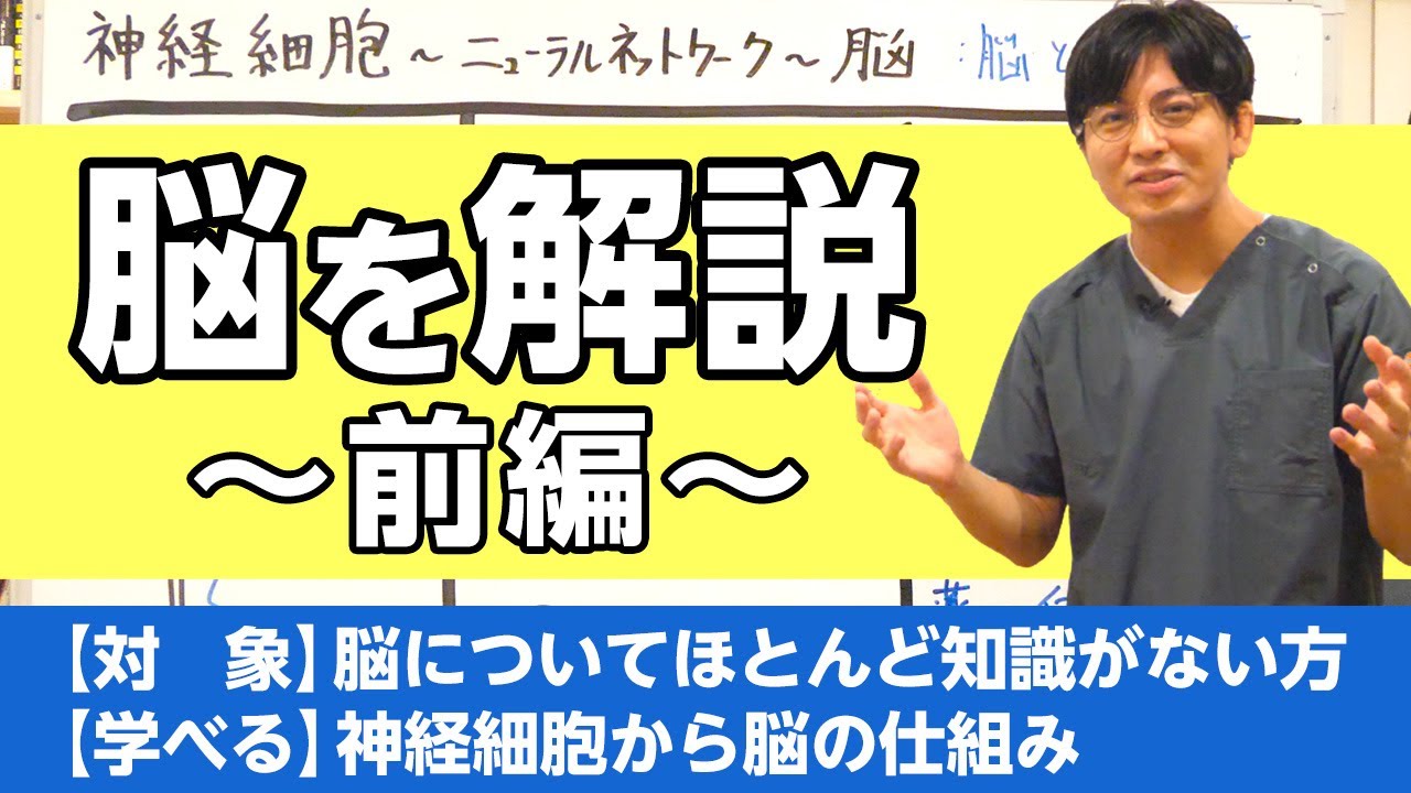 脳を解説（前編、脳と薬物治療）神経細胞〜ニューラルネットワーク（神経回路）〜脳　#精神医学　#脳科学