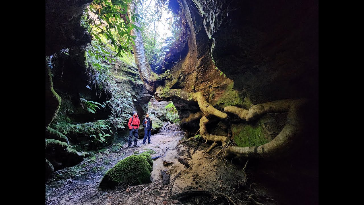 Colliery Canyon - Blue Mountains, NSW