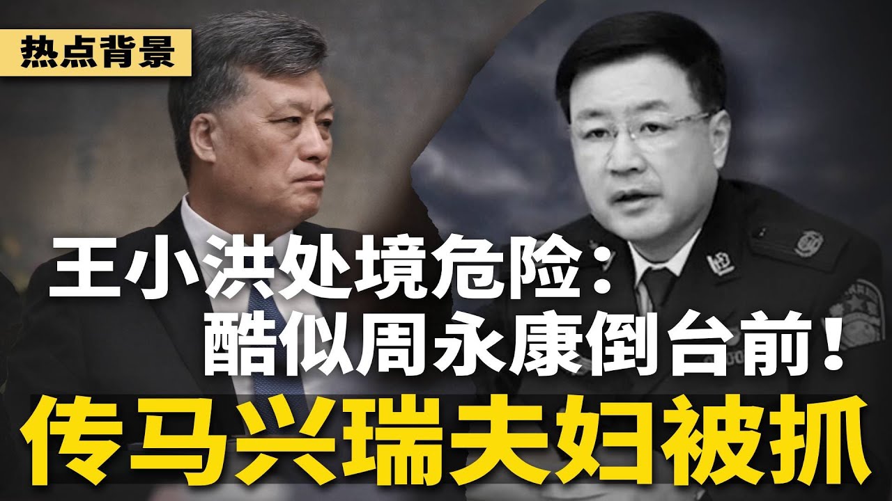 惊爆：王小洪处境酷似周永康倒台前！传马兴瑞及夫人、彭丽媛闺蜜荣丽被带走，谁在查习家？罗瑞卿之女罗点点去世，终年74岁 | #热点背景（20251120-1）