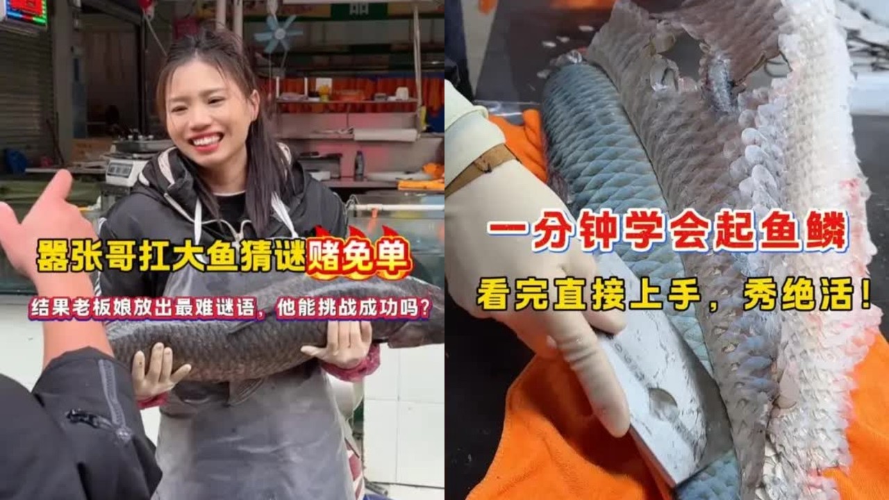 嚣张哥扛大鱼猜谜赌免单 嚣张哥扛大鱼猜谜赌免单，结果老板娘放出最难谜语，他能挑战成功吗？，一分钟学会起鱼鳞 一分钟学会起鱼鳞，看完直接上手，秀绝活！#武鸣鱼生 #草鱼处理教程 #杀鱼高手 #同款小刀