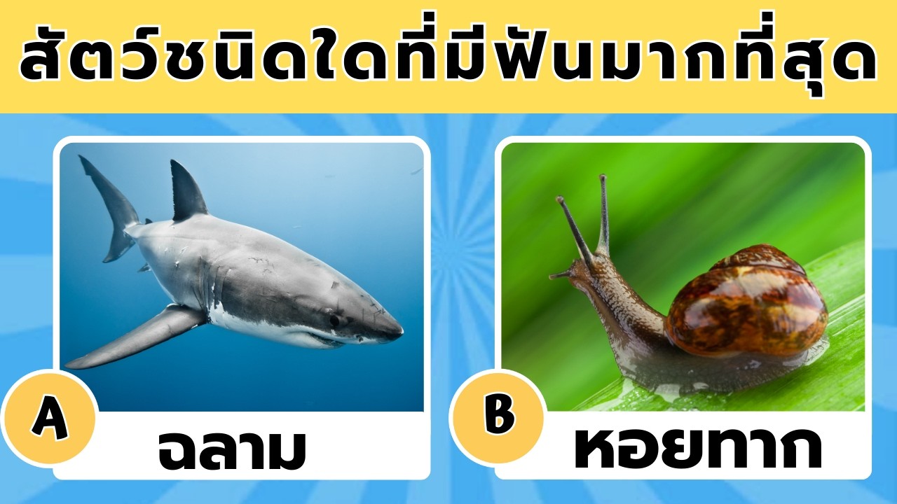 การทดสอบความรู้เกี่ยวกับ 🦁🦓🐳 45 คำถามความรู้ทั่วไปเกี่ยวกับสัตว์ ✅