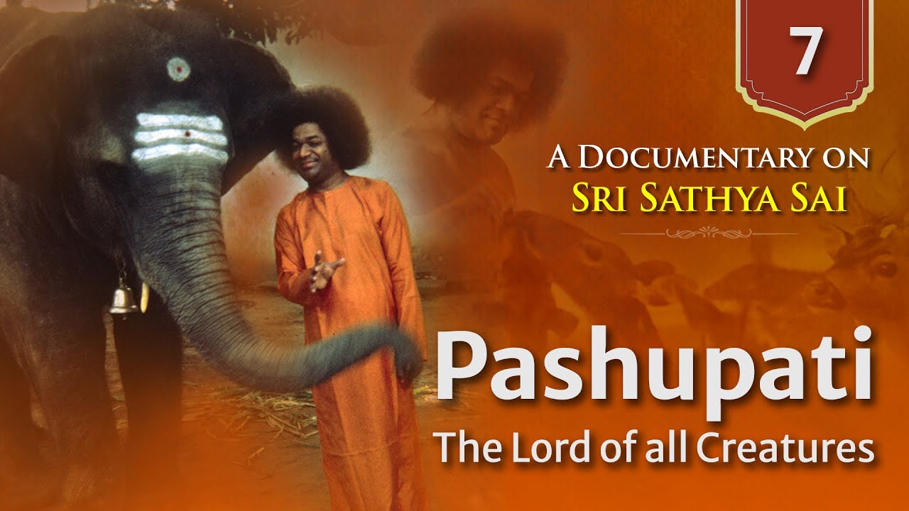 Pashupati - The Lord of all Creatures | Documentary Series on Sri Sathya Sai
