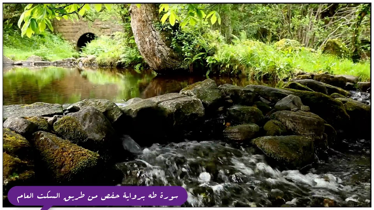 سورة طه بالسكت المطلق لحفص عن عاصم