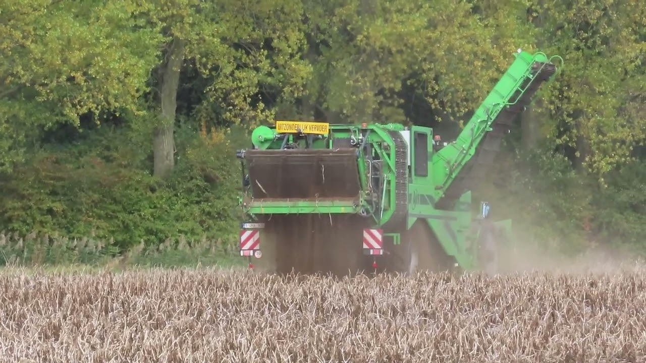 De Scheemaeker: Aardappel rooien.