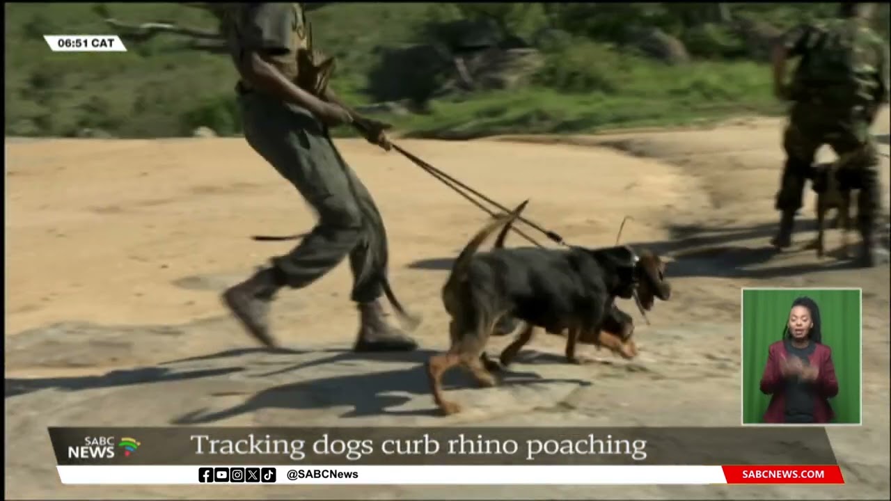 Canines deployed to curb rhino poaching