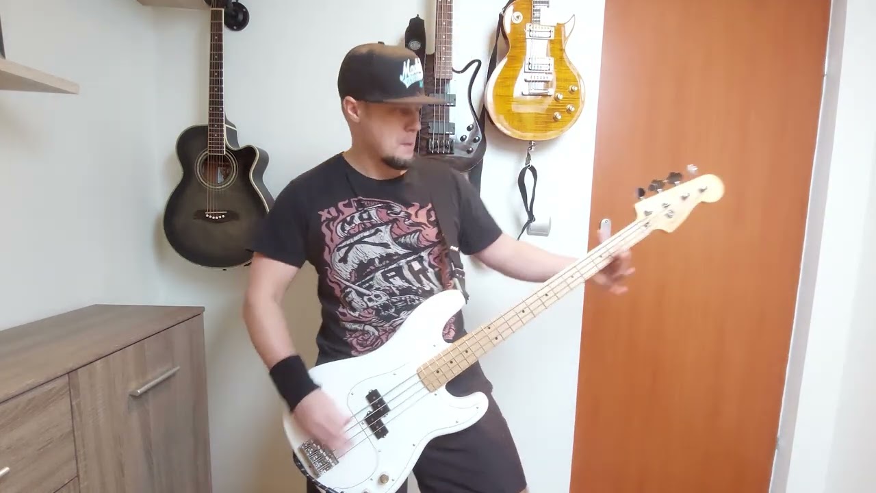 Pro-Pain - Age Of Disgust - bass cover