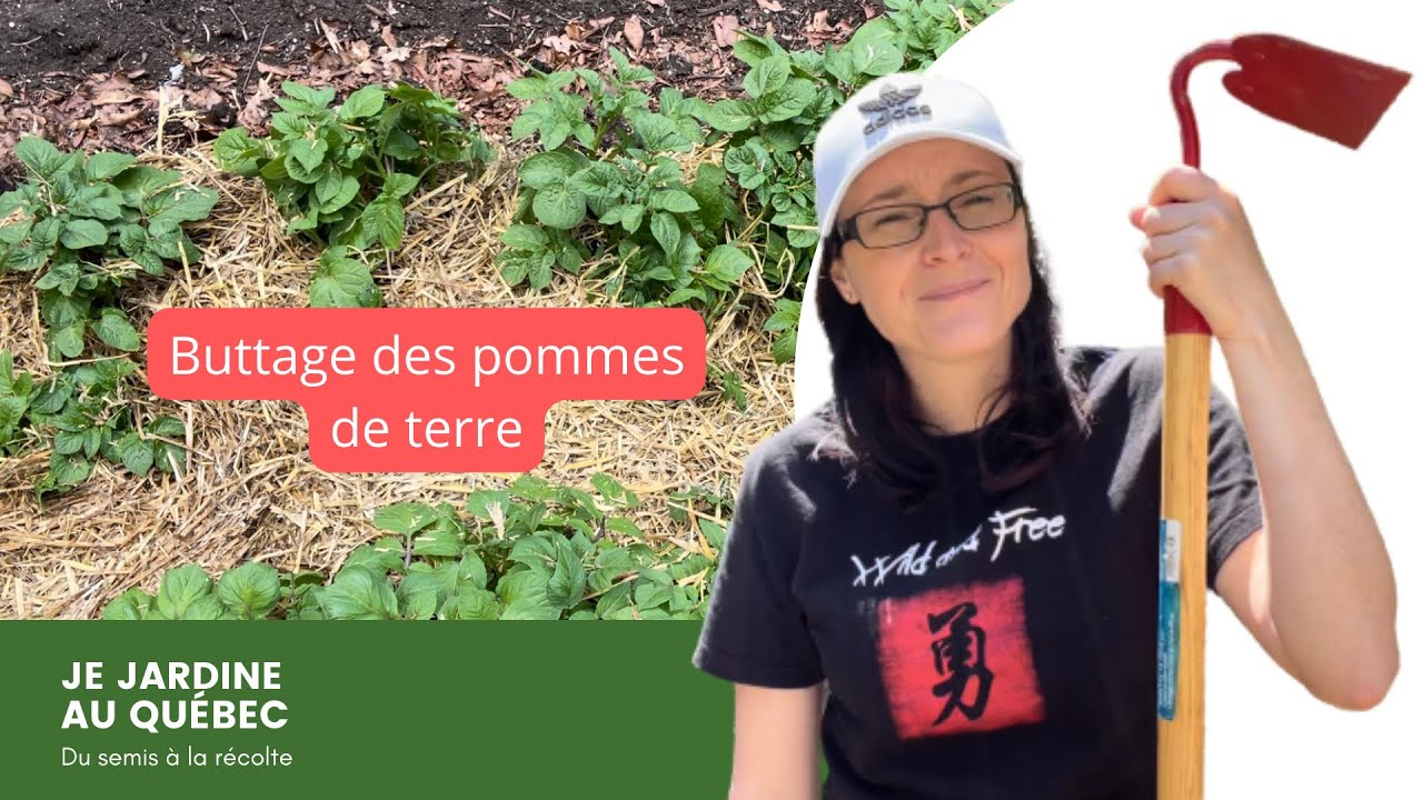 Commet butter ses pommes de terre