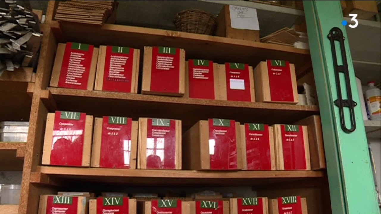Dans les coulisses des espaces verts de la ville de Limoges
