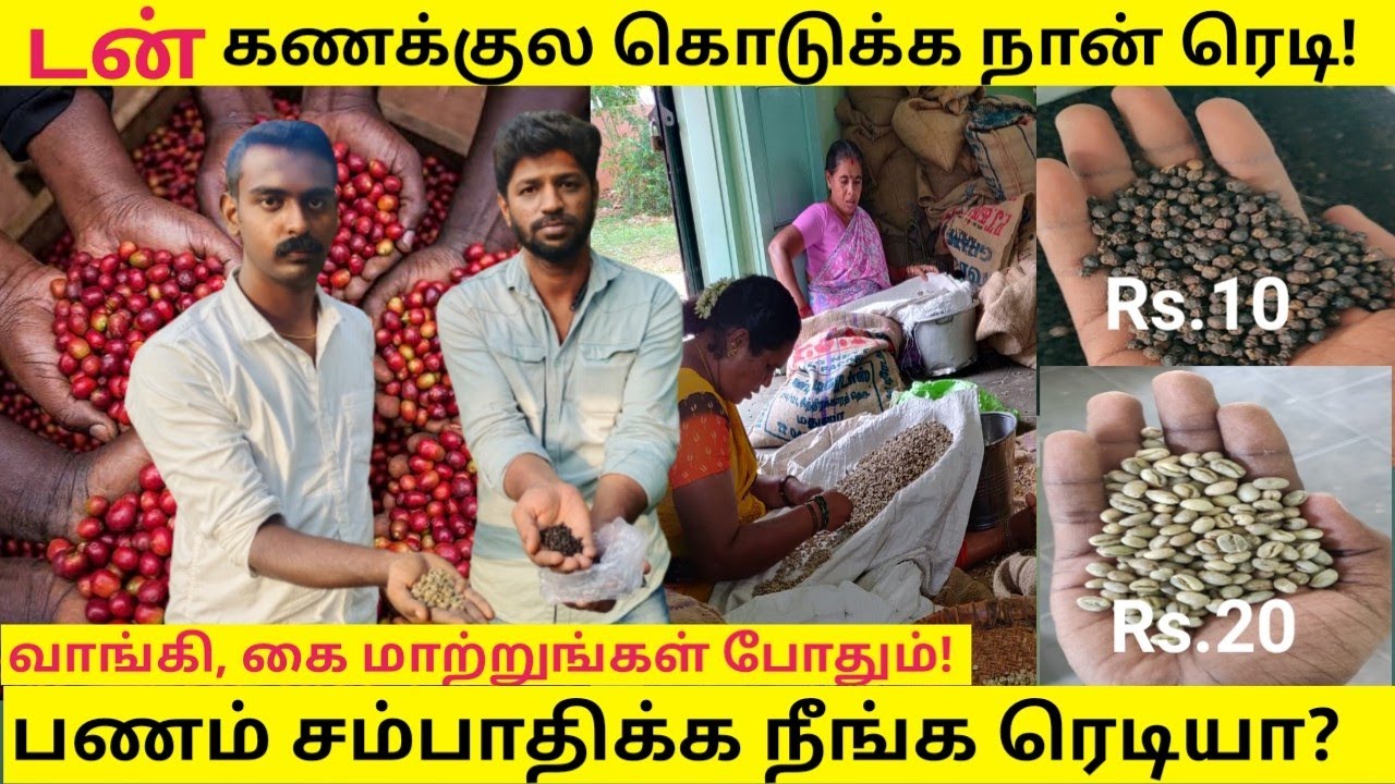 கிலோவுக்கு 60-முதல் 200-வரை லாபம் தரும் COFFEE BEAN & PEPPER Wholesale Business/Small Business Ideas