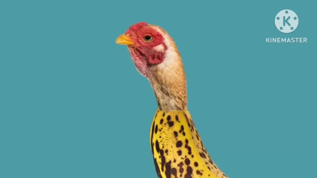 Chicken Banana