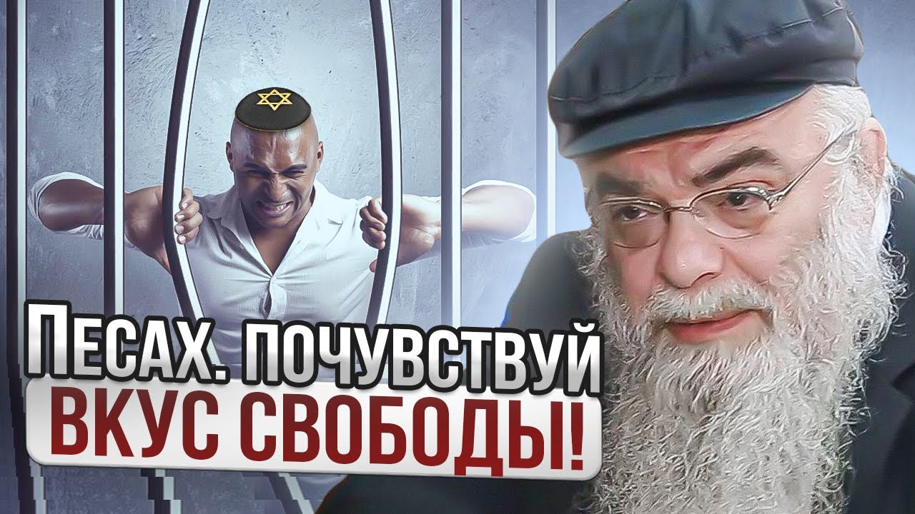Песах. Почувствуй вкус свободы. Рав Шая Гиссер