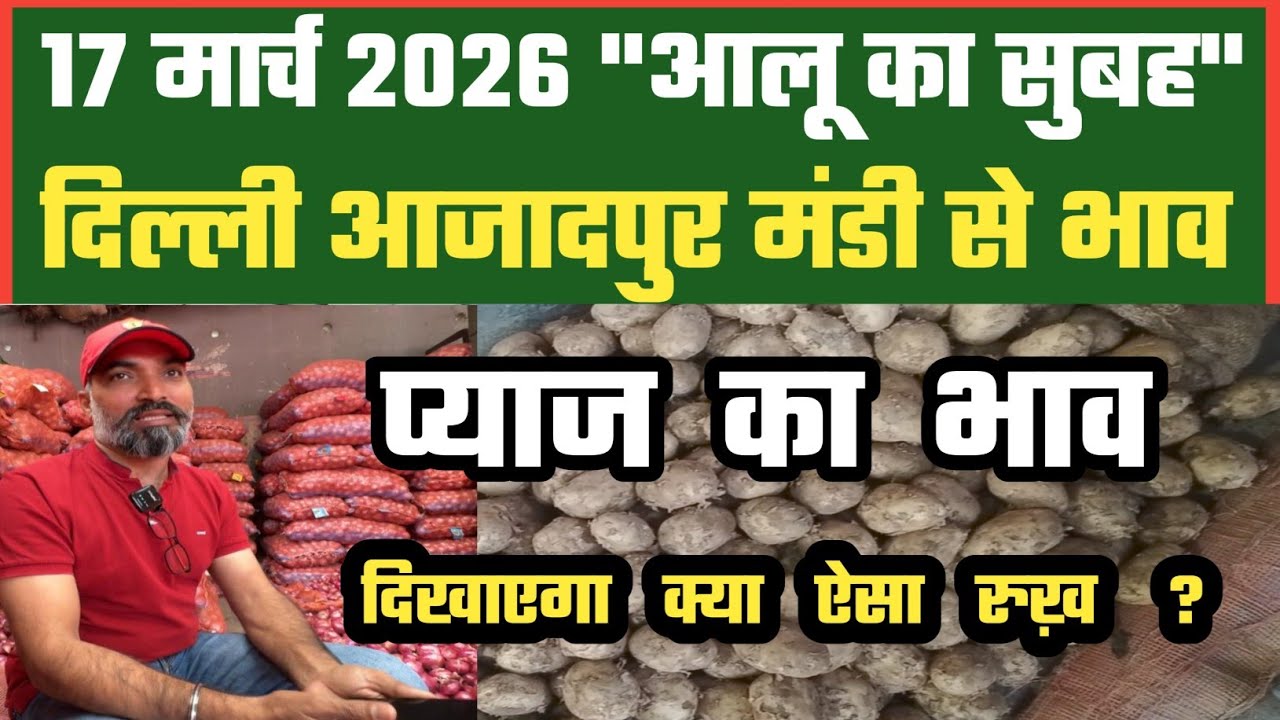 प्याज़ का भाव कैसा ? Azadpur Delhi Mandi Today में 17-03-2026 के Onion Price DMT TV