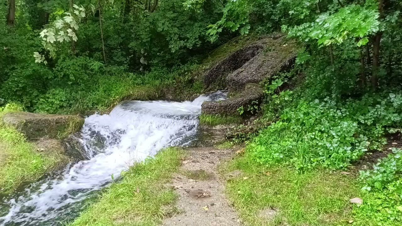 #ПрироданаЮтуб#NatureonYouTube#NaturalezaenYouTube#NaturesurYouTube#NaturezanoYouTube#AlamdiYouTube