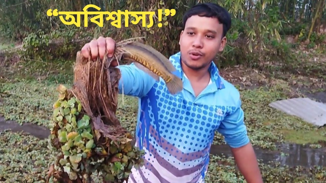 ভাবতেই পারিনি! পুকুর ছেকে এত দেশি মাছ পাওয়া যাবে - শোল,টাকি,পুটি সব একসাথে 🐟🔥