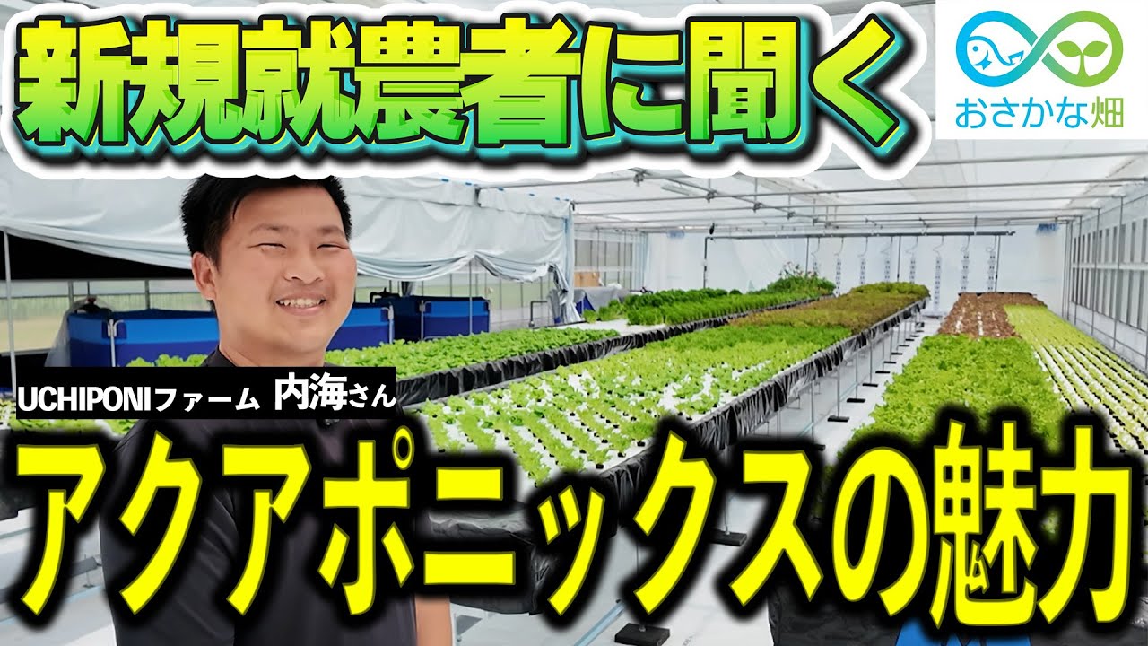 アクアポニックス就農って実際どう？リアルな体験談を語ります【第2弾】
