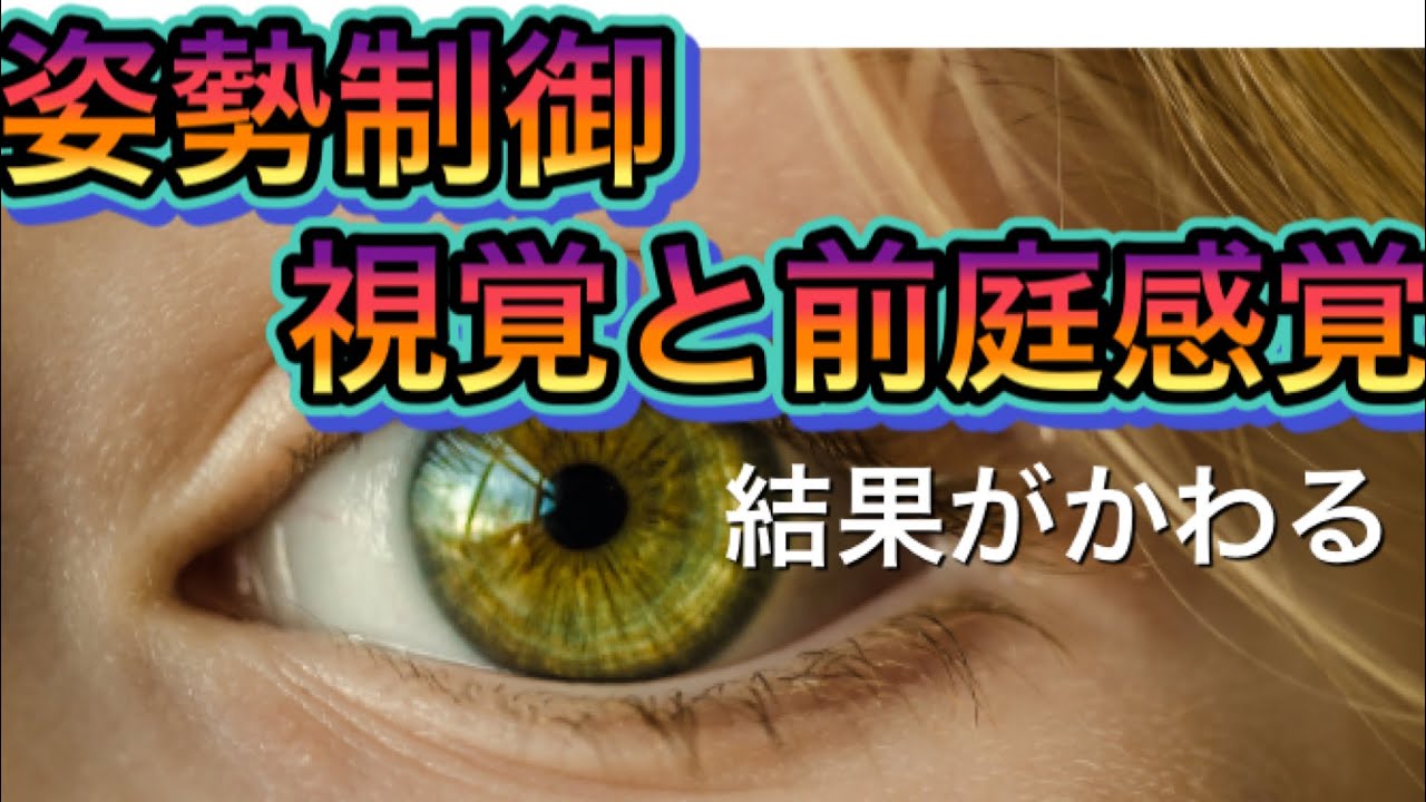 姿勢制御、視覚と前庭感覚の関係性について。これがわかると結果がかわる。#理学療法士