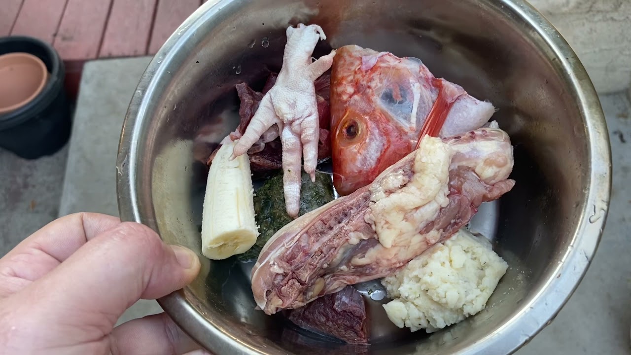 Doberman eating BARF diet