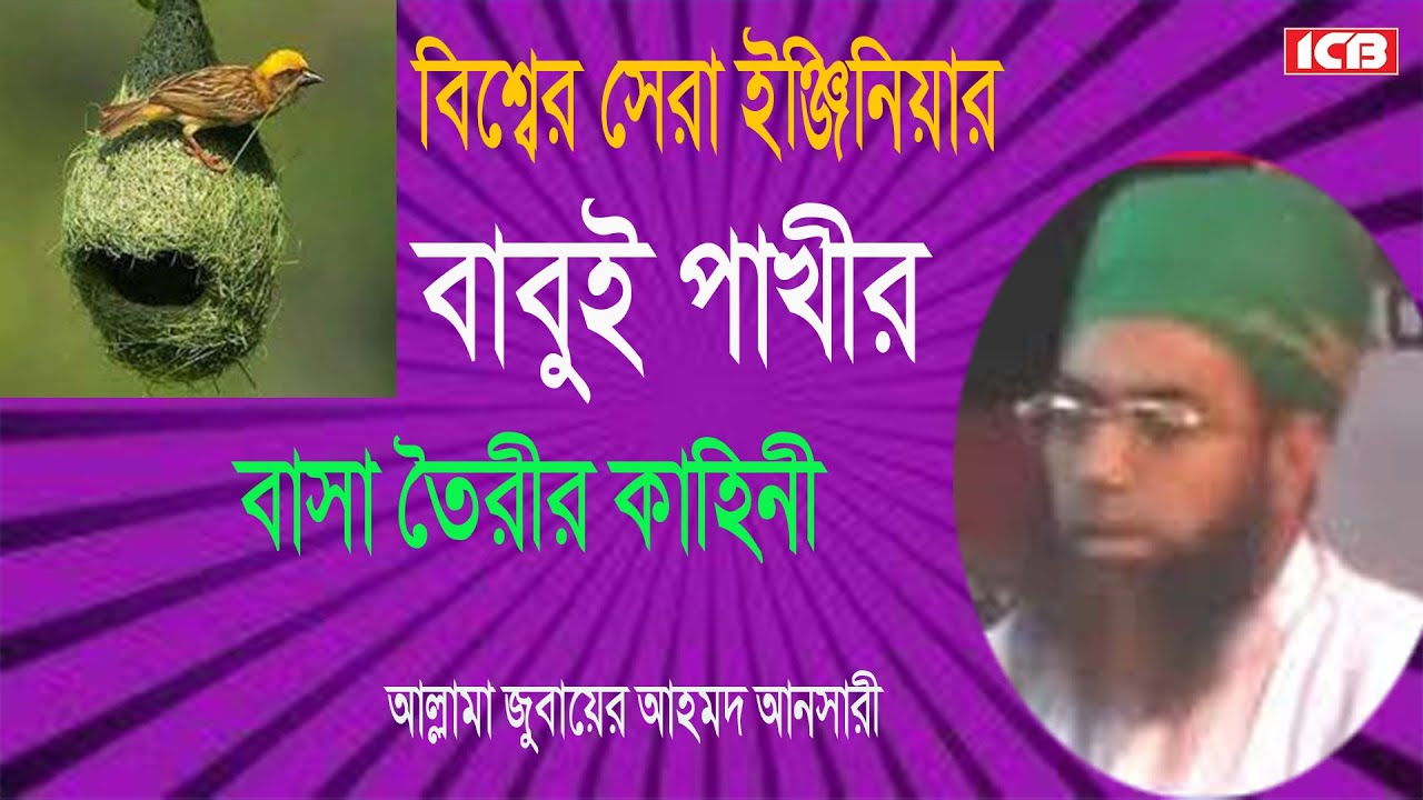 বাবুই পাখী | Allama Jubaer Ahmed Ansari New Waz | জুবায়ের আহমদ আনসারী |আমলের ওয়াজ | Best Bangla Waz