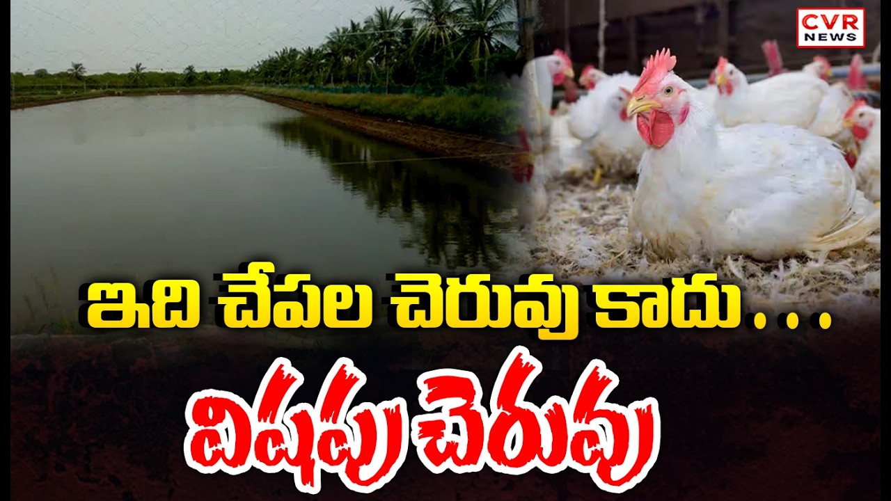 Fish Owners Are Trying To Mess With Peoples Health | CVR News