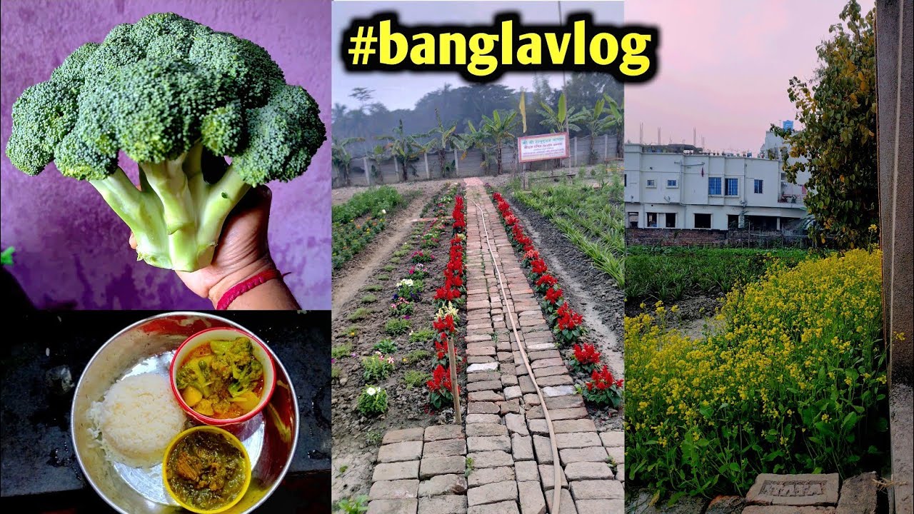 সবকিছু মানিয়ে নিতে পারলে জীবন সুন্দর 🧿 #banglavlog