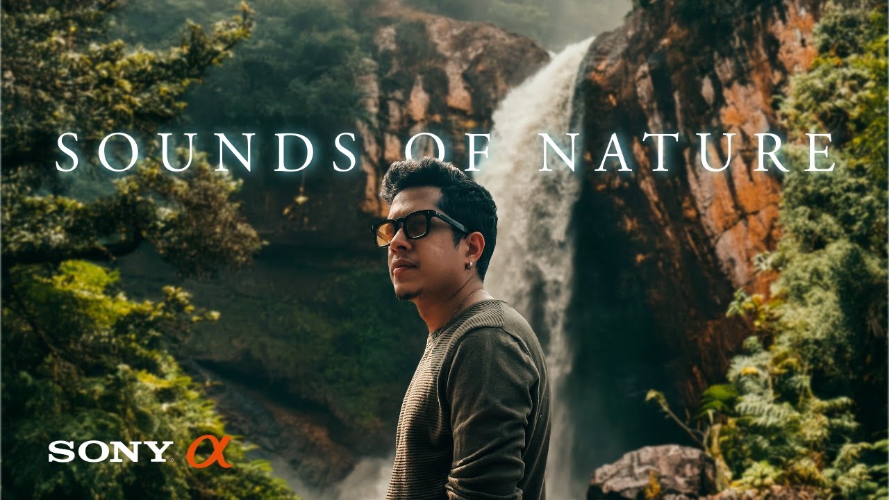 SOUNDS OF NATURE | Shot on Sony A6600
