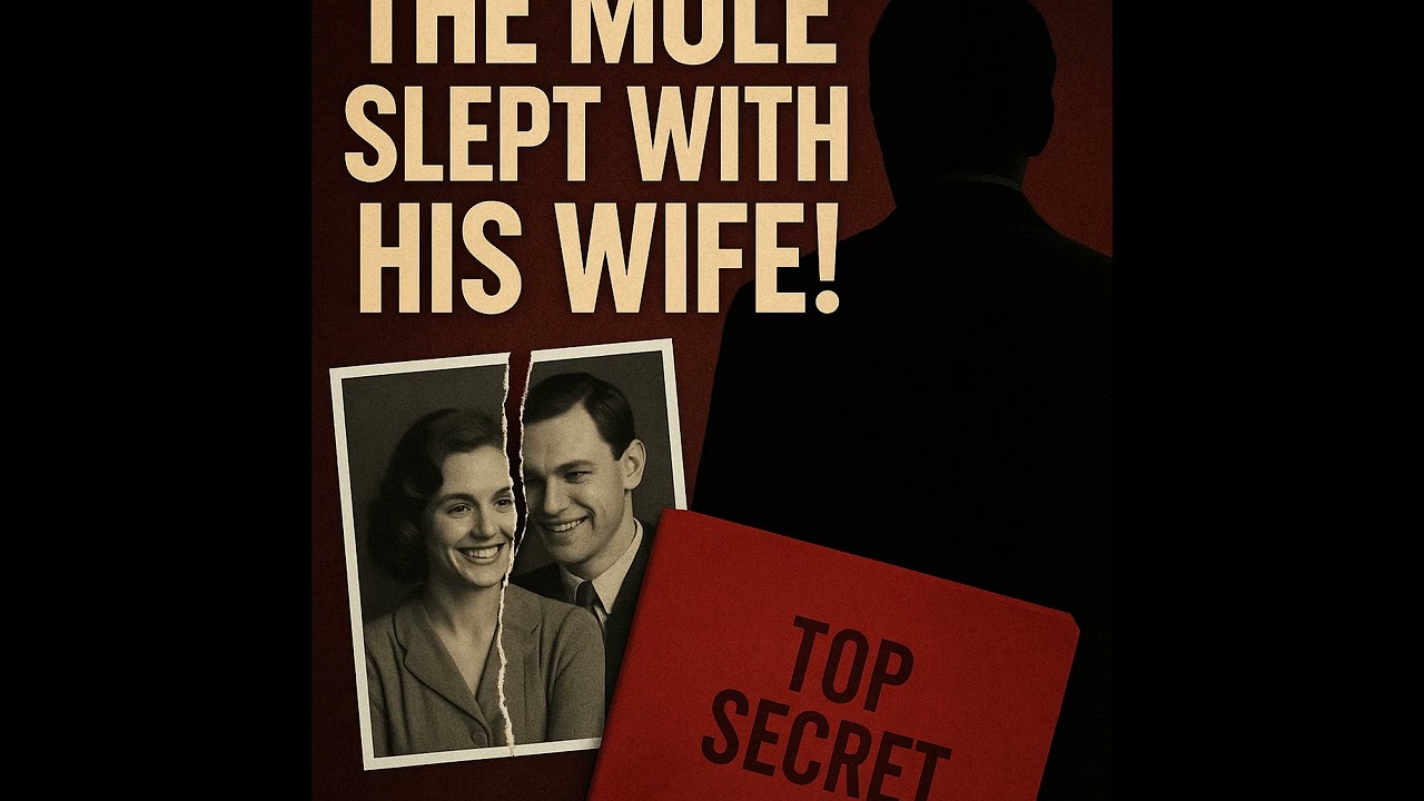 Tinker Tailor Soldier Spy EXPLAINED: The Mole, The Motive & The Mind Games