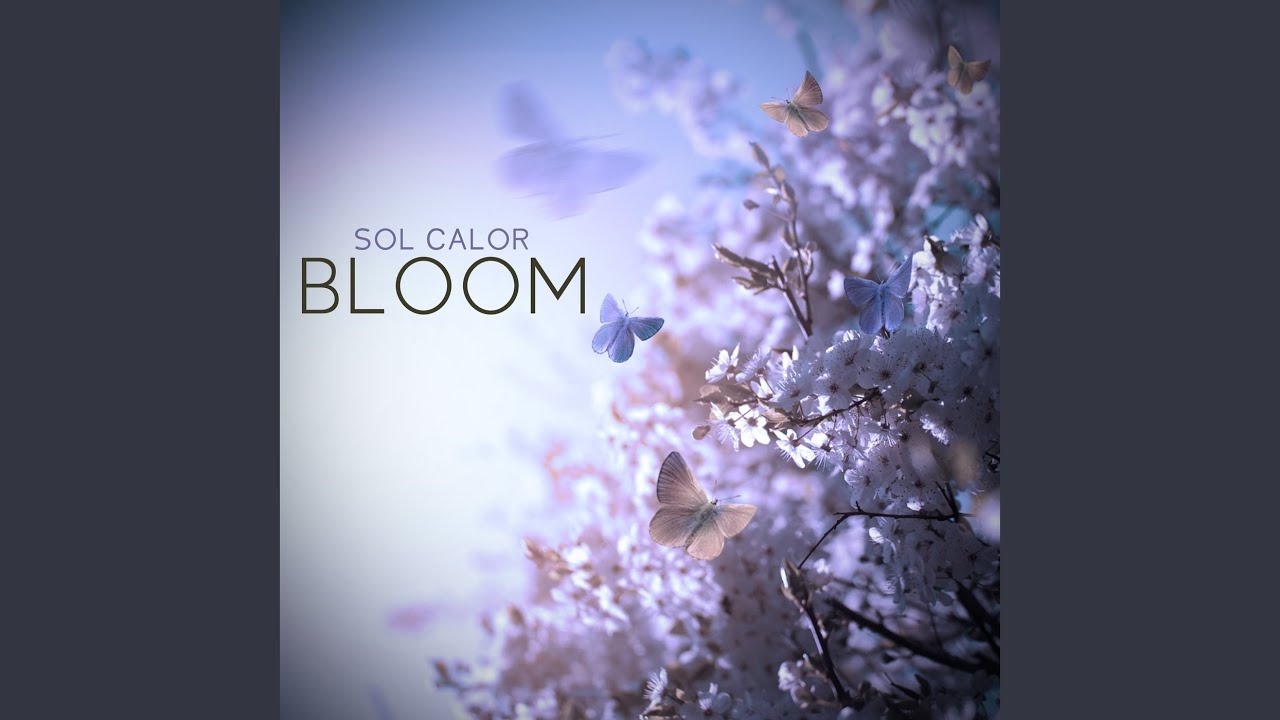 Bloom
