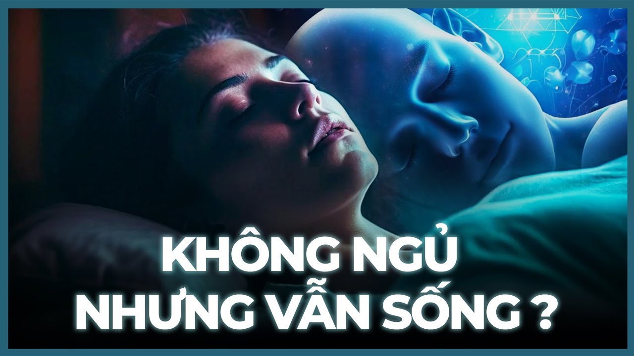 Cơ Thể v&agrave; T&acirc;m Tr&iacute; Sau 11 Ng&agrave;y Kh&ocirc;ng Ngủ: Những Điều Bạn Chưa Biết | Vũ Trụ Nguy&ecirc;n Thủy