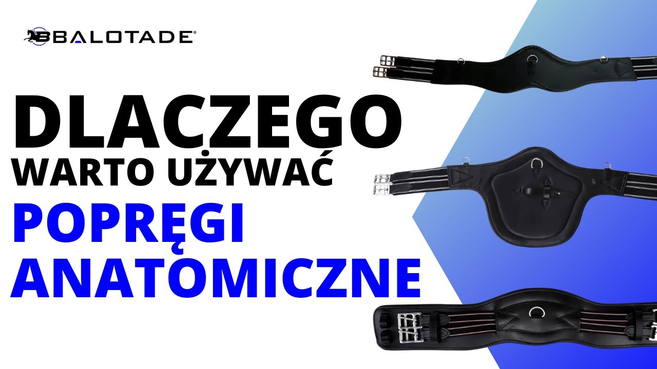 Jakie korzyści dają popręgi anatomiczne? | Konie A-Z | Popręgi Balotade Protection