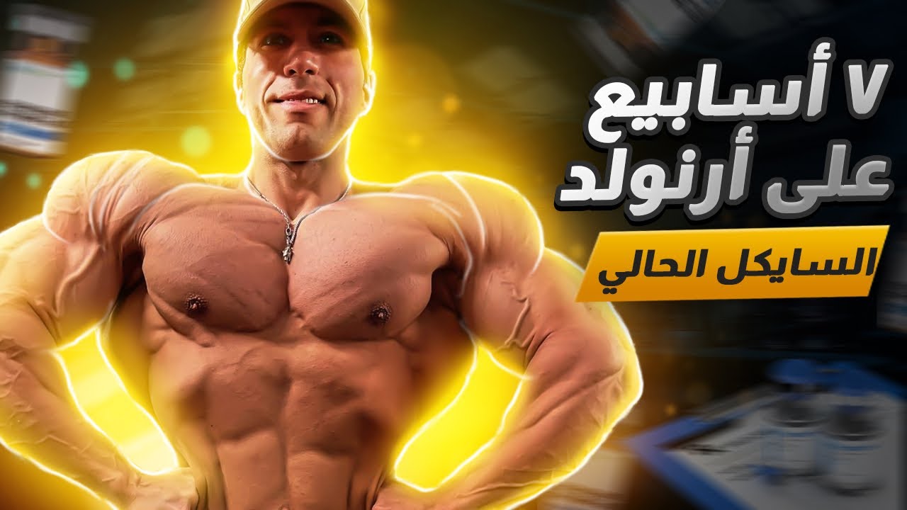 السايكل الحالي ٥٣ يوم الى بطولة ارنولد كلاسيك تمرين صدر + بايسبس