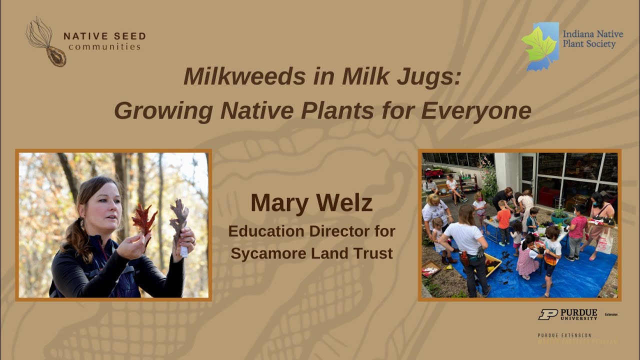 Milkweeds in Milk Jugs: Growing Native Plants for Everyone